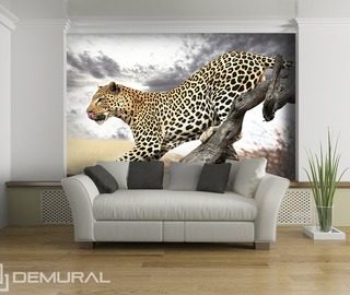 jumping leopard animals wallpaper mural photo wallpapers demural