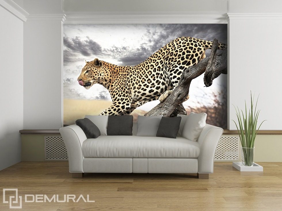 Jumping leopard Animals wallpaper mural Photo wallpapers Demural