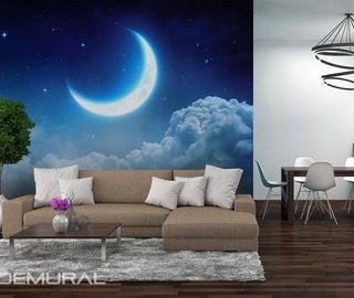 dreaming moon cosmos wallpaper mural photo wallpapers demural