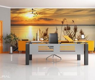 lake fantasies of sunset office wallpaper mural photo wallpapers demural