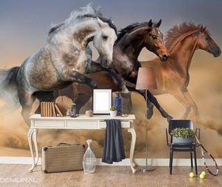 chasing luck trio in canter animals wallpaper mural photo wallpapers demural