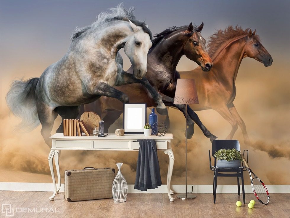 Chasing luck - Trio in canter Animals wallpaper mural Photo wallpapers Demural