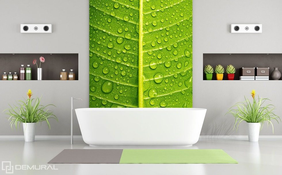 Green, intimate close-ups Bathroom wallpaper mural Photo wallpapers Demural