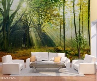 the secret life of light and glare forest wallpaper mural photo wallpapers demural