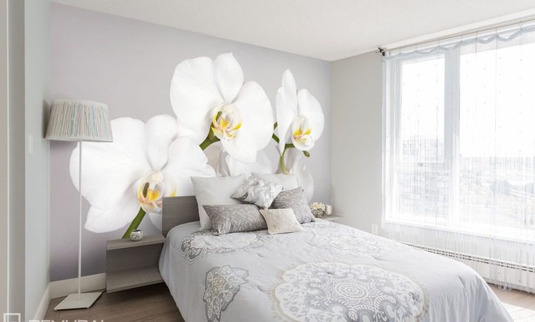 whiteness and a juicy orchid flowers wallpaper mural photo wallpapers demural