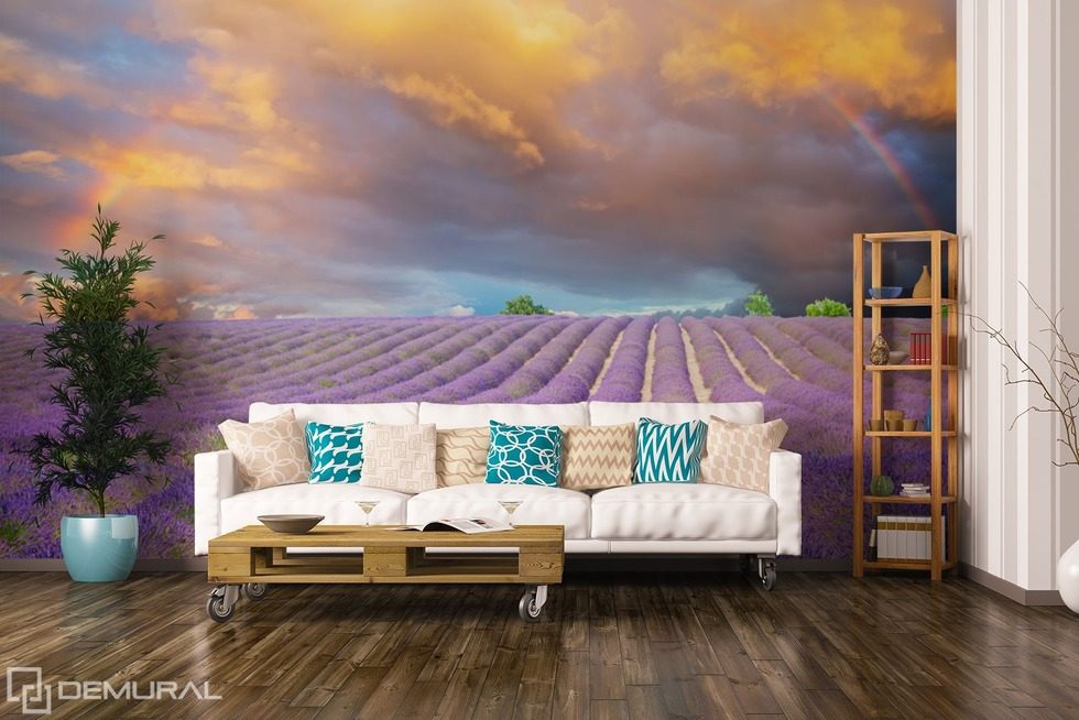 Walking on the Provencal fields  Provence wallpaper mural Photo wallpapers Demural