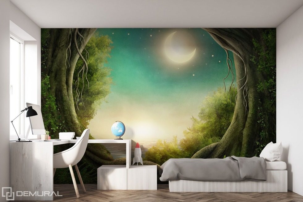 When the world goes to sleep Teenager's room wallpaper, mural Photo wallpapers Demural
