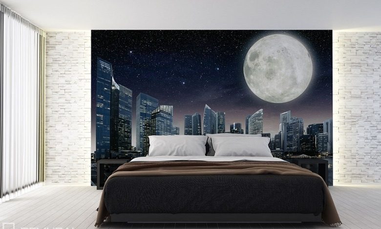 the night of full moon cosmos wallpaper mural photo wallpapers demural