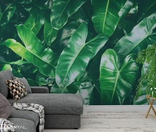 or maybe green patterns wallpaper mural photo wallpapers demural