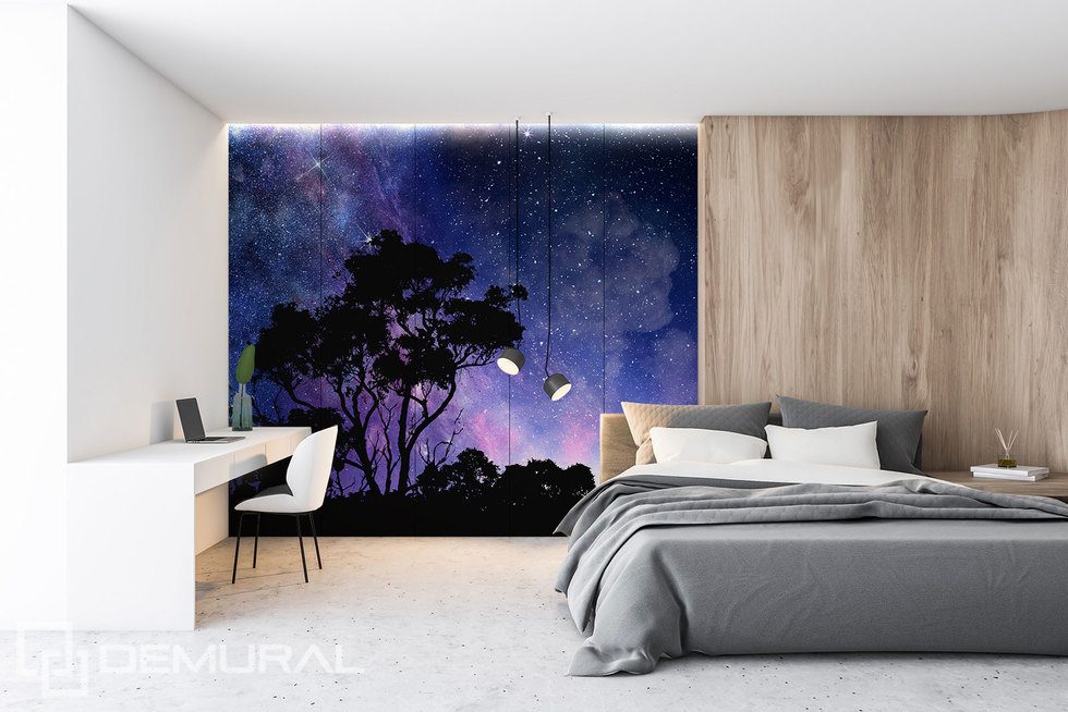 Enjoying the infinite beauty of the world Cosmos wallpaper mural Photo wallpapers Demural
