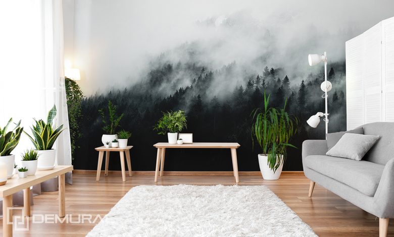 the mysterious fog dispels the boredom of the ethereal interior landscapes wallpaper mural photo wallpapers demural