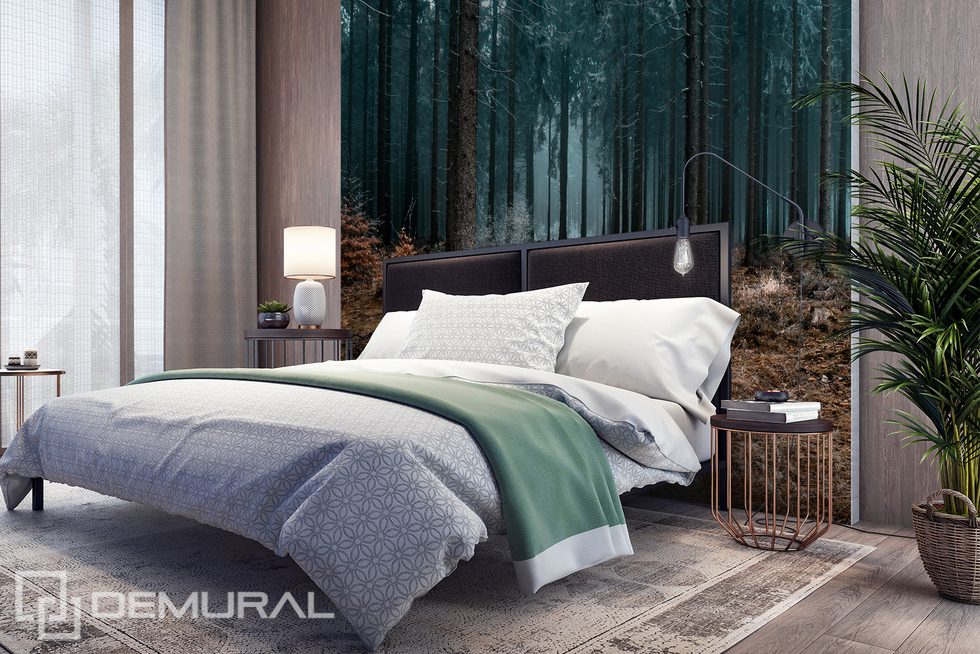 A good night's sleep in the dark forest? Forest wallpaper mural Photo wallpapers Demural