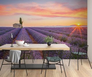 lavender field to the horizon provence wallpaper mural photo wallpapers demural