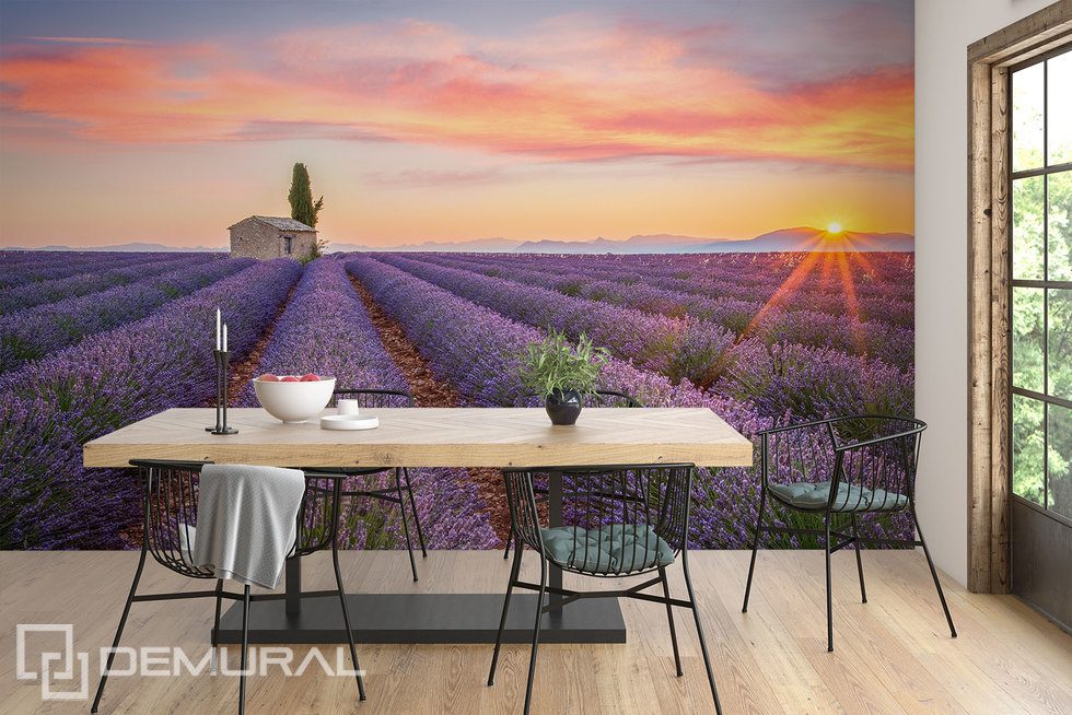 Lavender field to the horizon Provence wallpaper mural Photo wallpapers Demural
