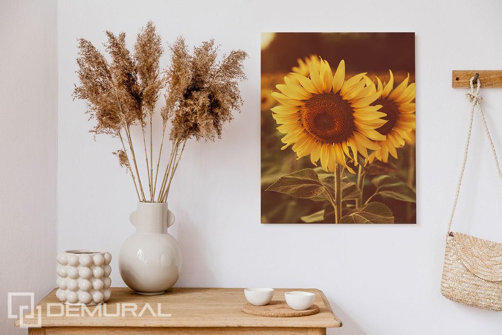 So much sunshine across the room Canvas prints Flowers Canvas prints Demural