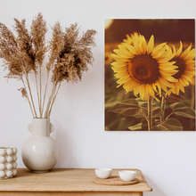 So-much-sunshine-across-the-room-canvas-prints-flowers-canvas-prints-demural
