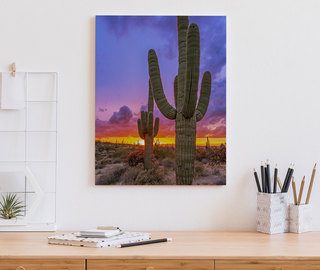 sunset over the cactus valley canvas prints in office canvas prints demural