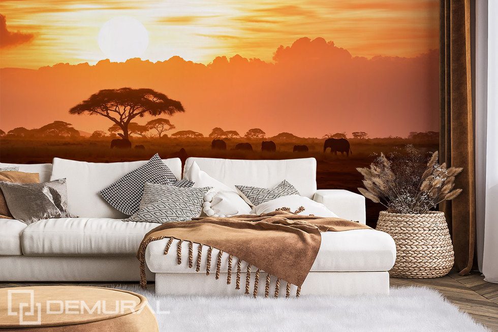 African sunset Sunsets wallpaper mural Photo wallpapers Demural