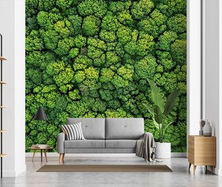 an entire wall covered in soft moss patterns wallpaper mural photo wallpapers demural