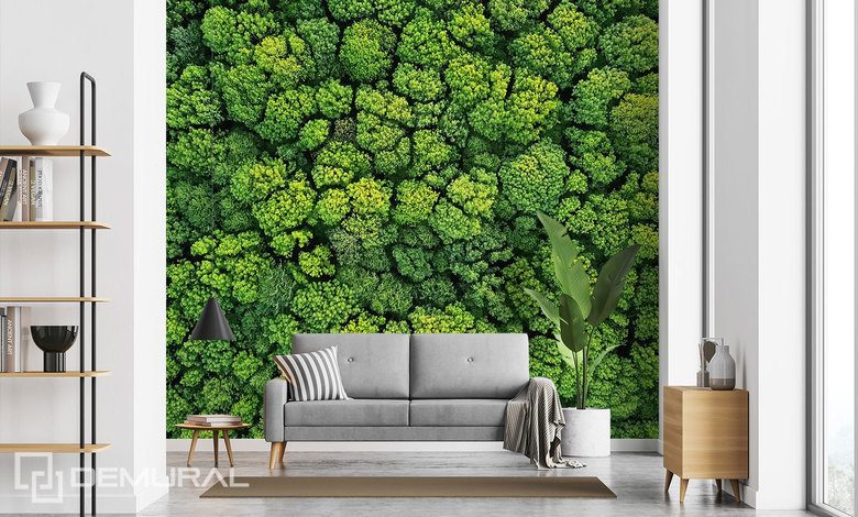 an entire wall covered in soft moss patterns wallpaper mural photo wallpapers demural