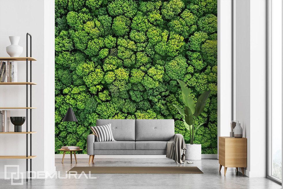 An entire wall covered in soft moss Patterns wallpaper mural Photo wallpapers Demural